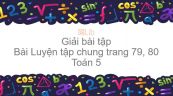 Giải bài tập SGK Toán 5 Bài: Luyện tập chung trang 79, 80