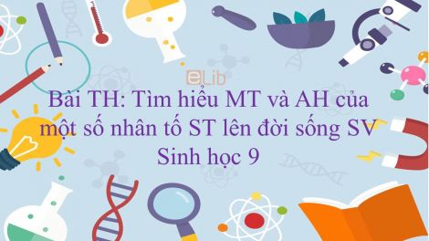 Sinh học 9 Bài 45-46: TH: Tìm hiểu môi trường và ảnh hưởng của một số nhân tố sinh thái lên đời sống sinh vật Sinh Học 9 Bài 45-46: Th: Tìm Hiểu Môi Trường Và Ảnh Hưởng Của Một Số Nhân Tố Sinh Thái Lên Đời Sống Sinh Vật