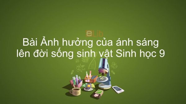 Sinh học 9 Bài 42: Ảnh hưởng của ánh sáng lên đời sống sinh vật