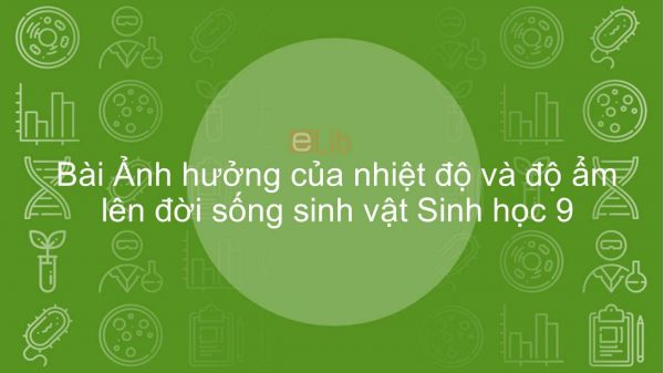 Sinh học 9 Bài 43: Ảnh hưởng của nhiệt độ và độ ẩm lên đời sống sinh vật