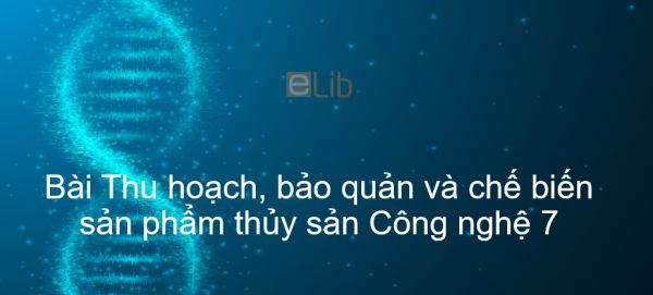 Công nghệ 7 Bài 55: Thu hoạch, bảo quản và chế biến sản phẩm thủy sản