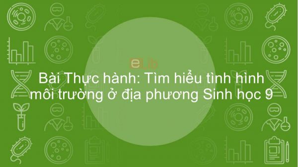 Sinh học 9 Bài 56-57: Thực hành: Tìm hiểu tình hình môi trường ở địa phương