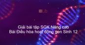 Giải bài tập SGK Sinh 12 Nâng cao Bài 3: Điều hòa hoạt động gen