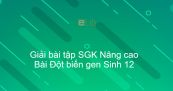 Giải bài tập SGK Sinh 12 Nâng cao Bài 4: Đột biến gen