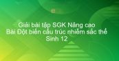 Giải bài tập SGK Sinh 12 Nâng cao Bài 6: Đột biến cấu trúc nhiễm sắc thể