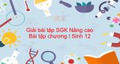Giải bài tập SGK Sinh 12 Nâng cao Bài 8: Bài tập chương I