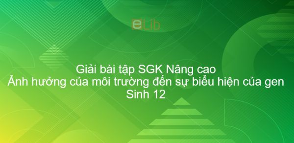 Giải bài tập SGK Sinh 12 Nâng cao Bài 17: Ảnh hưởng của môi trường đến sự biểu hiện của gen