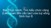 Sinh học 8 Bài 44: Thực hành: Tìm hiểu chức năng (Liên quan đến cấu tạo) của tuỷ sống