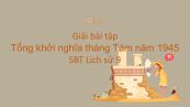 Giải bài tập SBT Lịch Sử 9 Bài 23: Tổng khởi nghĩa tháng Tám năm 1945