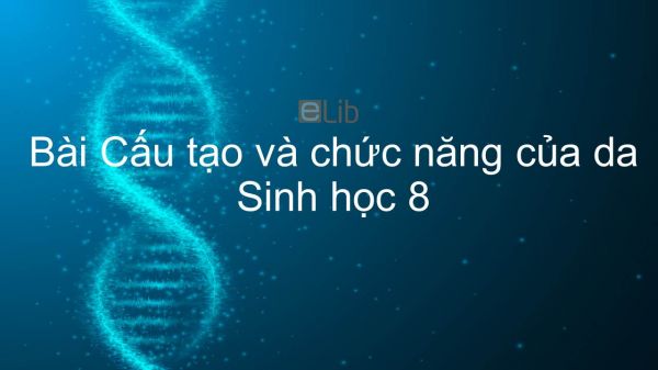 Sinh học 8 Bài 41: Cấu tạo và chức năng của da