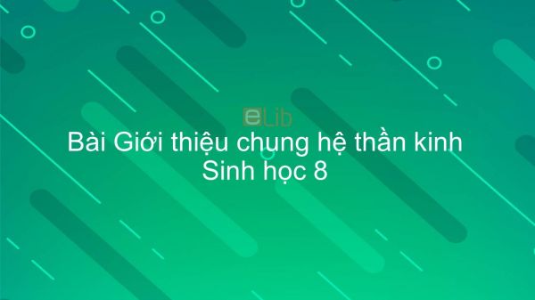 Sinh học 8 Bài 43: Giới thiệu chung hệ thần kinh