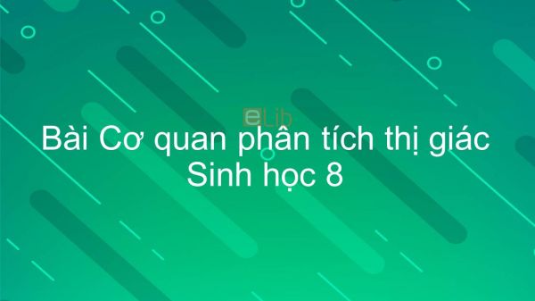 Sinh học 8 Bài 49: Cơ quan phân tích thị giác