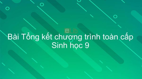Sinh học 9 Bài 64: Tổng kết chương trình toàn cấp