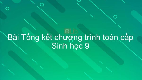 Sinh học 9 Bài 64: Tổng kết chương trình toàn cấp