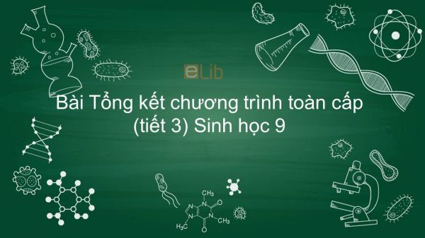 Sinh học 9 Bài 66: Tổng kết chương trình toàn cấp (tiết 3)