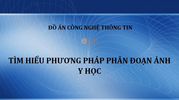 Đồ án: Tìm hiểu phương pháp phân đoạn ảnh y học