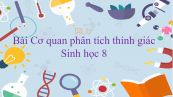 Sinh học 8 Bài 51: Cơ quan phân tích thính giác