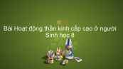 Sinh học 8 Bài 53: Hoạt động thần kinh cấp cao ở người