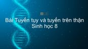 Sinh học 8 Bài 57: Tuyến tụy và tuyến trên thận