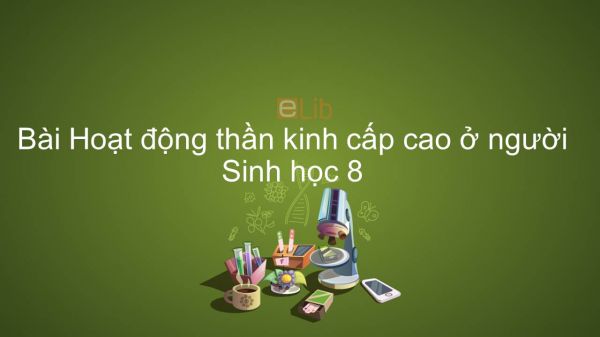 Sinh học 8 Bài 53: Hoạt động thần kinh cấp cao ở người