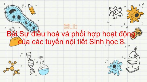 Sinh học 8 Bài 59: Sự điều hoà và phối hợp hoạt động của các tuyến nội tiết