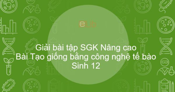 Giải bài tập SGK Sinh 12 Nâng cao Bài 24: Tạo giống bằng công nghệ tế bào