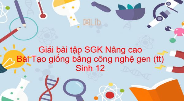 Giải bài tập SGK Sinh 12 Nâng cao Bài 26: Tạo giống bằng công nghệ gen (tiếp theo)