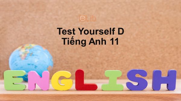 Unit 10-11 lớp 11: Test Yourself D