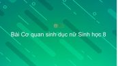 Sinh học 8 Bài 61: Cơ quan sinh dục nữ