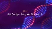 Sinh học 8 Bài 66: Ôn tập - Tổng kết