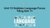 Unit 13 lớp 11: Hobbies-Language Focus
