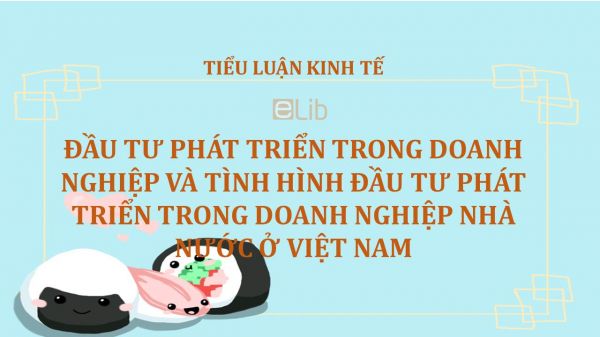 Tiểu luận: Đầu tư phát triển trong doanh nghiệp và tình hình đầu tư phát triển trong doanh nghiệp nhà nước ở Việt Nam