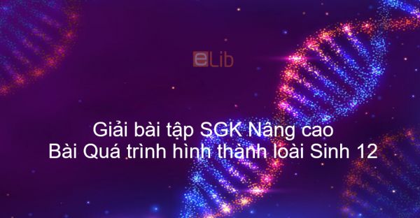 Giải bài tập SGK Sinh 12 Nâng cao Bài 41: Quá trình hình thành loài