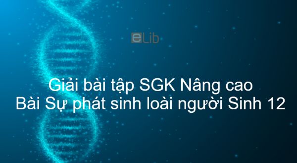 Giải bài tập SGK Sinh 12 Nâng cao Bài 45: Sự phát sinh loài người