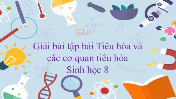 Giải bài tập SGK Sinh học 8 Bài 24: Tiêu hóa và các cơ quan tiêu hóa