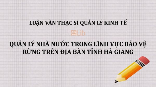 Luận văn ThS: Quản lý nhà nước trong lĩnh vực bảo vệ rừng trên địa bàn tỉnh Hà Giang