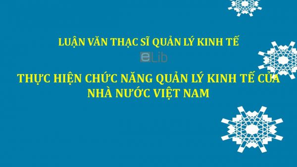 Luận văn ThS: Thực hiện chức năng quản lý kinh tế của Nhà nước Việt Nam