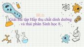 Giải bài tập SGK Sinh học 8 Bài 29: Hấp thụ chất dinh dưỡng và thải phân