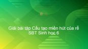 Giải SBT Sinh 6 Bài 10: Cấu tạo miền hút của rễ