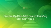 Giải SBT Sinh 6 Bài 1