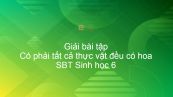 Giải SBT Sinh 6 Bài 4: Có phải tất cả thực vật đều có hoa