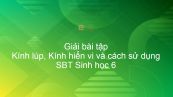Giải SBT Sinh 6 Bài 5: Kính lúp, Kính hiển vi và cách sử dụng