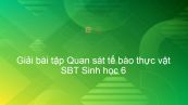 Giải SBT Sinh 6 Bài 6: Quan sát tế bào thực vật