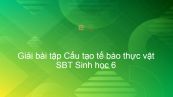 Giải SBT Sinh 6 Bài 7: Cấu tạo tế bào thực vật