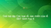 Giải SBT Sinh 6 Bài 9: Các loại rễ, các miền của rễ