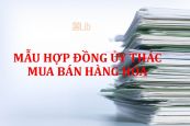 Hợp đồng ủy thác mua bán hàng hóa