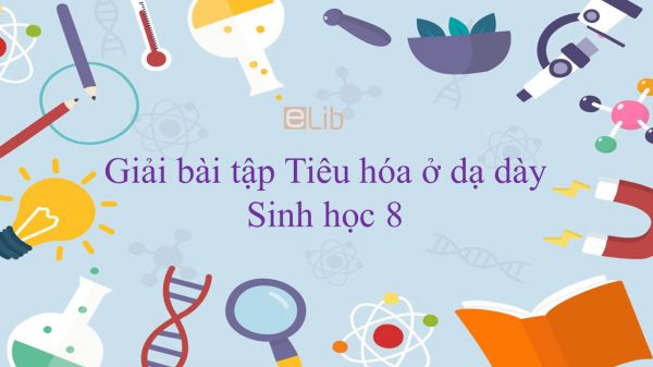 Giải bài tập SGK Sinh học 8 Bài 27: Tiêu hóa ở dạ dày