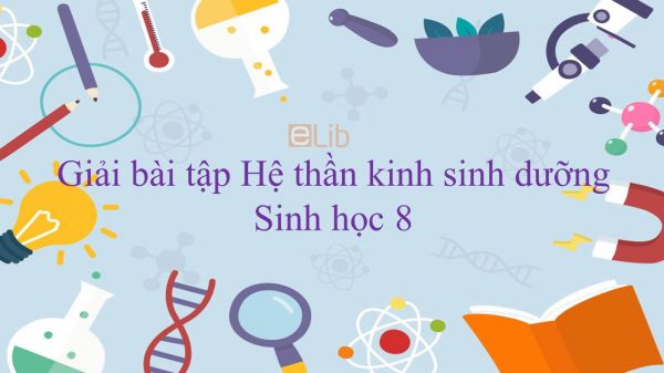 Giải bài tập SGK Sinh học 8 Bài 48: Hệ thần kinh sinh dưỡng