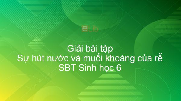 Giải SBT Sinh 6 Bài 11: Sự hút nước và muối khoáng của rễ