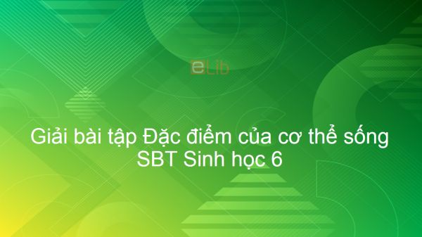 Giải bài tập SBT Sinh 6 Bài 1: Đặc điểm của cơ thể sống